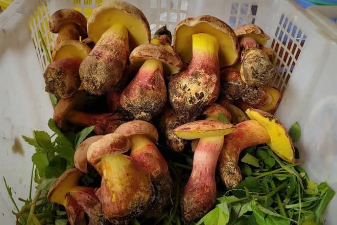 kuliner_khas_yunnan_ini_bisa_bikin_orang_lihat_peri_kecil