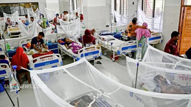dengue_melonjak_di_bangladesh_245_orang_meninggal_sejak_januari
