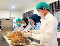 jaga_mutu_cabai_di_musim_lembap_mahasiswa_usu_ciptakan_kemasan_ramah_lingkungan_dari_limbah_sawit_