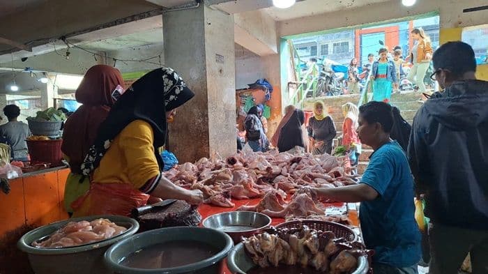 sempat_tembus_rp50_ribu_harga_ayam_potong_di_medan_turun_ke_rp39_ribu_