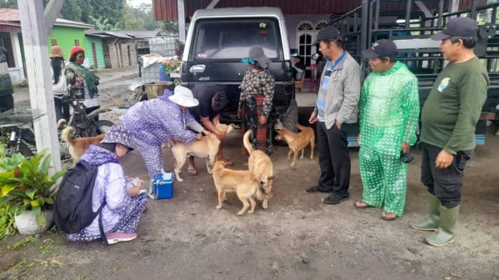 vaksinasi_anjing_di_sinaksak_belum_terealisasi_data_dari_kelurahan_masih_ditunggu