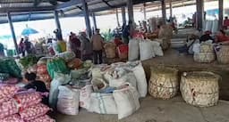 harga_cabai_merah_di_dairi_naik_jadi_rp60_ribu_per_kg_petani_berharap_stabil