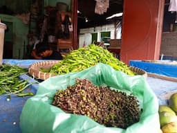 harga_andaliman_di_siantar_tembus_rp180_ribu_per_kilogram