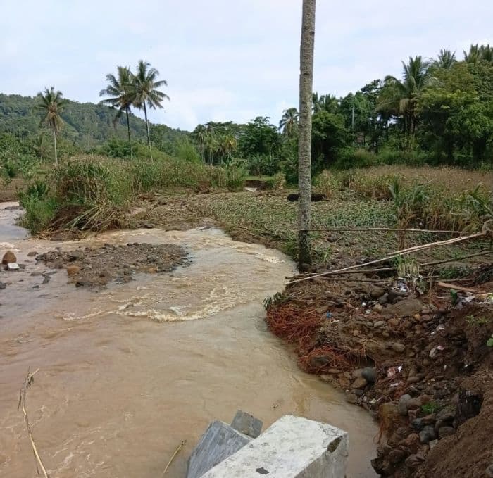 tiga_hektare_lahan_jagung_dan_padi_di_dairi_rusak_diterjang_banjir