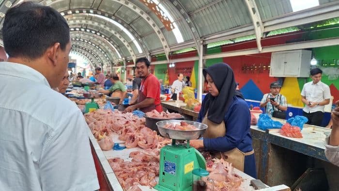 harga_ayam_potong_di_medan_turun_kini_dijual_rp35000rp38000_per_kg