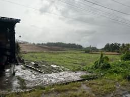lahan_8_hektare_mulai_diratakan_sekolah_rakyat_di_panei_tongah_segera_dibangun