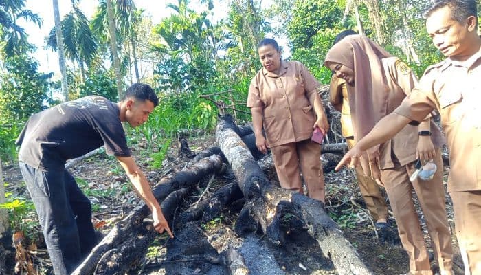 jejak_kaki_binatang_buas_ditemukan_di_perladangan_warga_dairi_polisi_dan_bbksda_turun_ke_lokasi