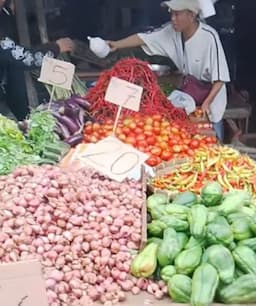 harga_cabai_hijau_paling_murah_caplak_tetap_mahal_di_pasar_tanjung_morawa