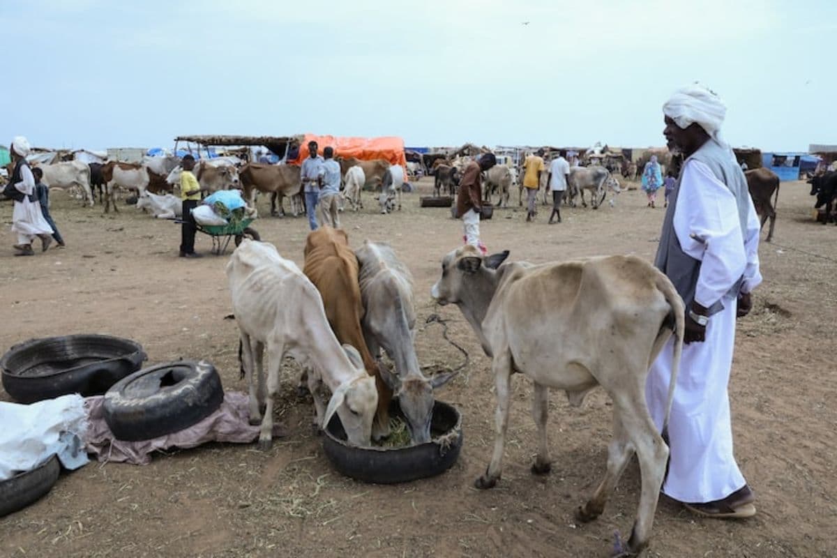 kemarau_terparah_5_juta_warga_sudan_terancam_kelaparan