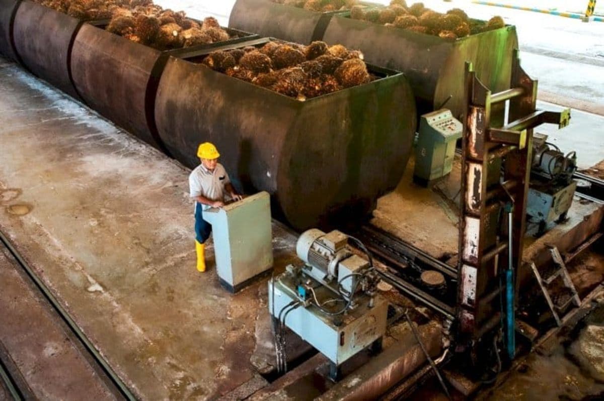 harga_cpo_dekati_rp22_juta_per_ton_minyak_dunia_jadi_penentu