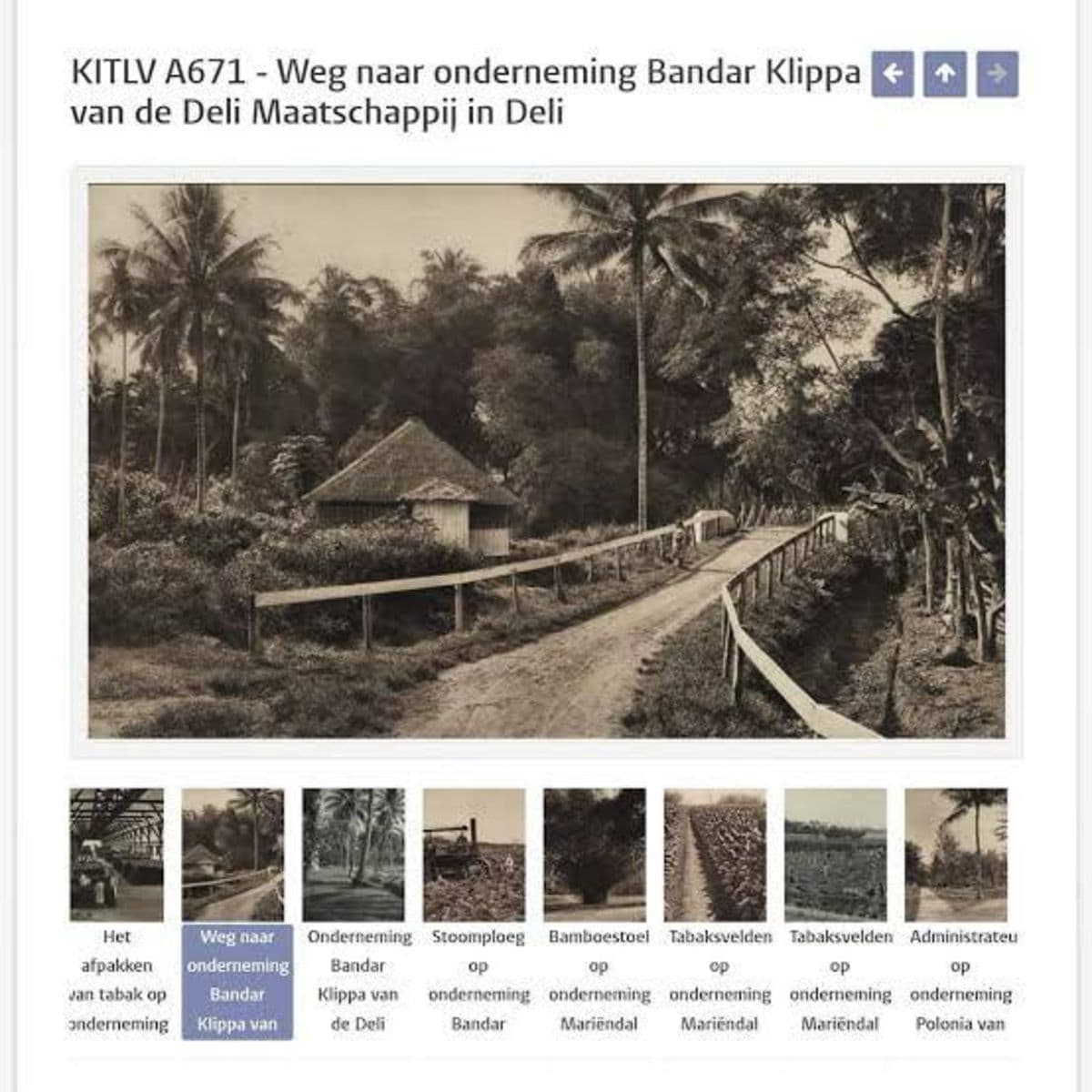tembung_tempat_pertemuan_tak_sengaja_yang_berlanjut_ke_simpang_jodoh