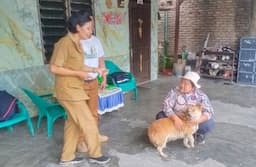 420_kasus_anjing_menggigit_orang_di_pematangsiantar_519_kasus_rabies_sepanjang_2026_