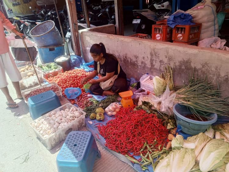 harga_cabai_dan_andaliman_di_toba_masih_tinggi_andaliman_tembus_rp170_ribu_per_kg