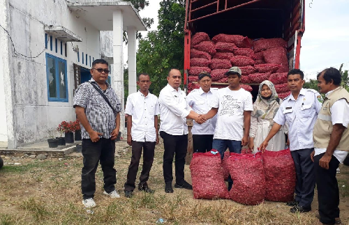 5_poktan_di_madina_diberi_bantuan_bibit_bawang_dan_pupuk_kompos