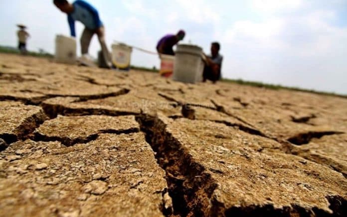 bmkg_puncak_musim_kemarau_diprediksi_terjadi_agustus