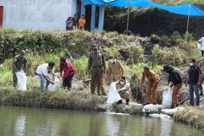 bupati_pakpak_bharat_tabur_benih_ikan_di_desa_pardomuan