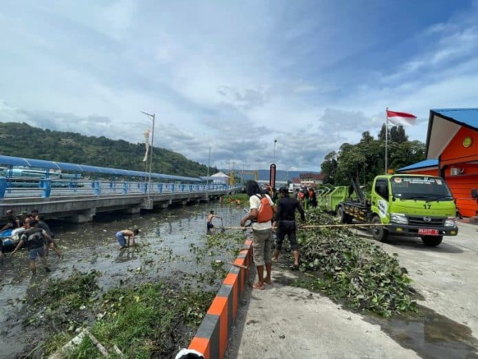 eceng_gondok_di_dermaga_ajibata_danau_toba_dibersihkan
