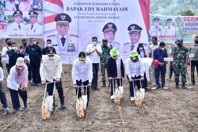 edy_rahmayadi_optimis_pakpak_bharat_jadi_produsen_jagung_utama_sumut
