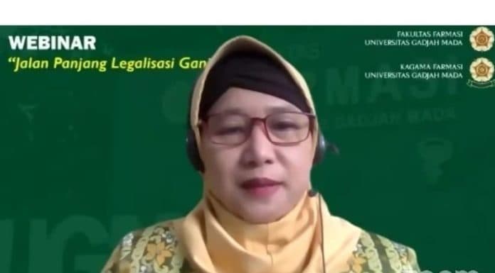 guru_besar_ugm_usulkan_ganja_tak_dilegalisasi_meski_untuk_tujuan_medis