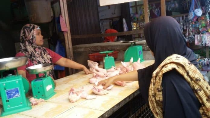harga_ayam_potong_turun_sedangkan_harga_telur_bergerak_naik_di_siantar