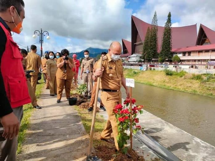 hari_lingkungan_hidup_sedunia_bupati_taput_tanam_bunga_bougenville_dan_pohon_berbuah