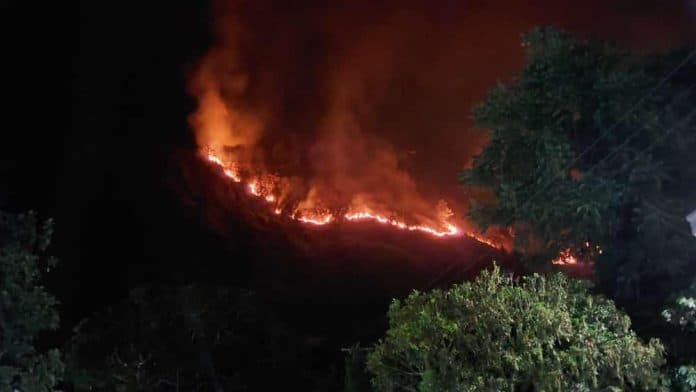 karhutla_di_perbukitan_danau_toba_dishut_sebut_kekurangan_personel