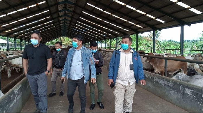 kppu_pastikan_stok_daging_sapi_ayam_dan_cabai_aman_jelang_idul_fitri