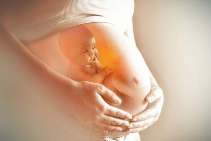manfaat_vitamin_b6_bagi_ibu_hamil_dan_bayi_dalam_kandungan
