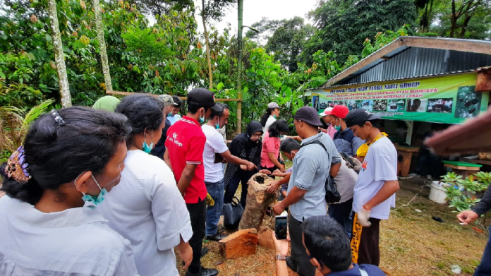membuka_peluang_emas_bisnis_peternakan_lebah_madu