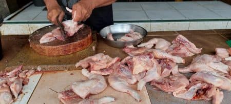 pakan_ternak_mahal_picu_naiknya_harga_ayam_di_medan