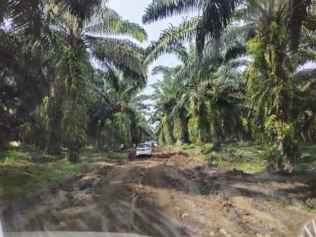 pemprovsu_diminta_segera_perbaiki_jalan_amblas_di_panombean_panei_simalungun