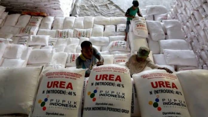 pupuk_mahal_kppu_sebut_akibat_penahanan_barang_dari_eksportir