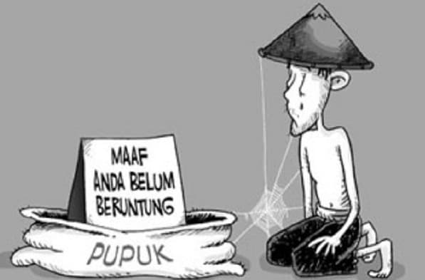 pupuk_subsidi_mahal_warga_hutabayuraja_simalungun_resah