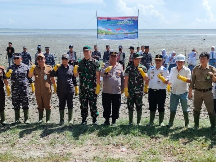 sambut_hari_mangrove_sedunia_dan_lanal_tba_pimpin_penanaman_mangrove_di_pantai_jono
