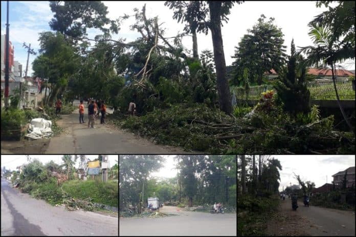 sampah_sisa_pemotongan_pohon_tumbang_di_siantar_masih_numpuk_di_pinggiran_jalan