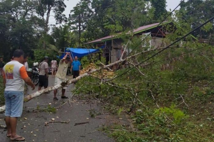sejumlah_jaringan_listrik_di_nias_tertimpa_longsor_dan_pohon