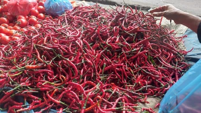 stok_mulai_banyak_harga_cabai_merah_turun