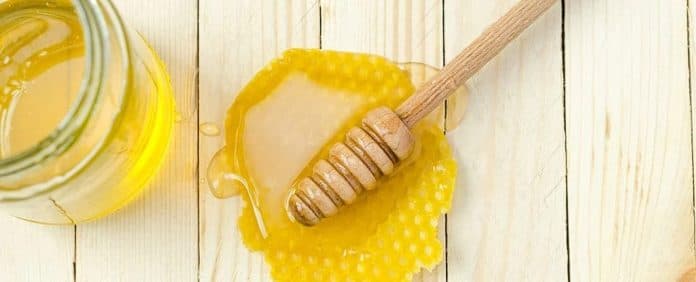 studi_baru_madu_lebih_berkhasiat_untuk_pilek_dibanding_obat_obatan