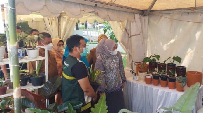 sumut_miliki_potensi_tanaman_hias_eksotis