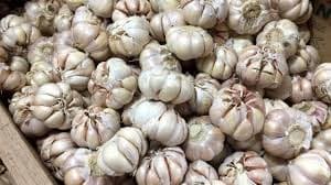 ternyata_bawang_putih_dan_cabai_jika_disimpan_bersama_bisa_memberikan_manfaat
